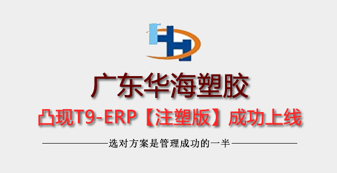 阳江华海塑胶制品有限公司上线凸现ERP