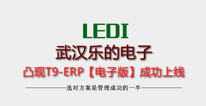 武汉乐的电子凸现4年老客户升级T9