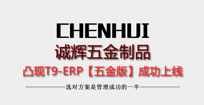 诚辉五金制品上线凸现T9ERP