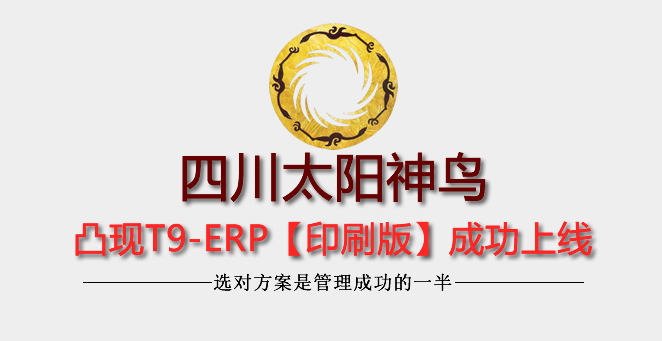 四川太阳神鸟包装凸现ERP成功上线