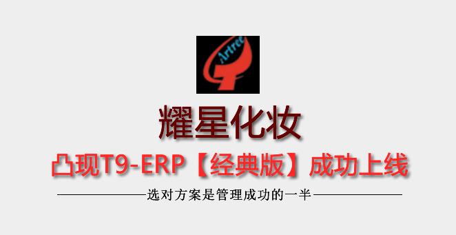 耀星化妆用品厂凸现T9-ERP成功上线