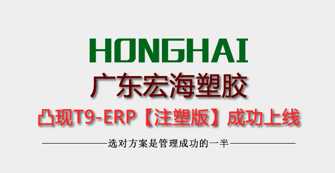 广东宏海塑胶制品有限公司上线凸现ERP注塑专版